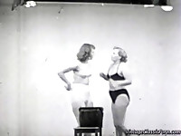 Vintage cat fights