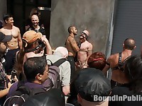 Dore Alley Pig